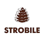 Strobile