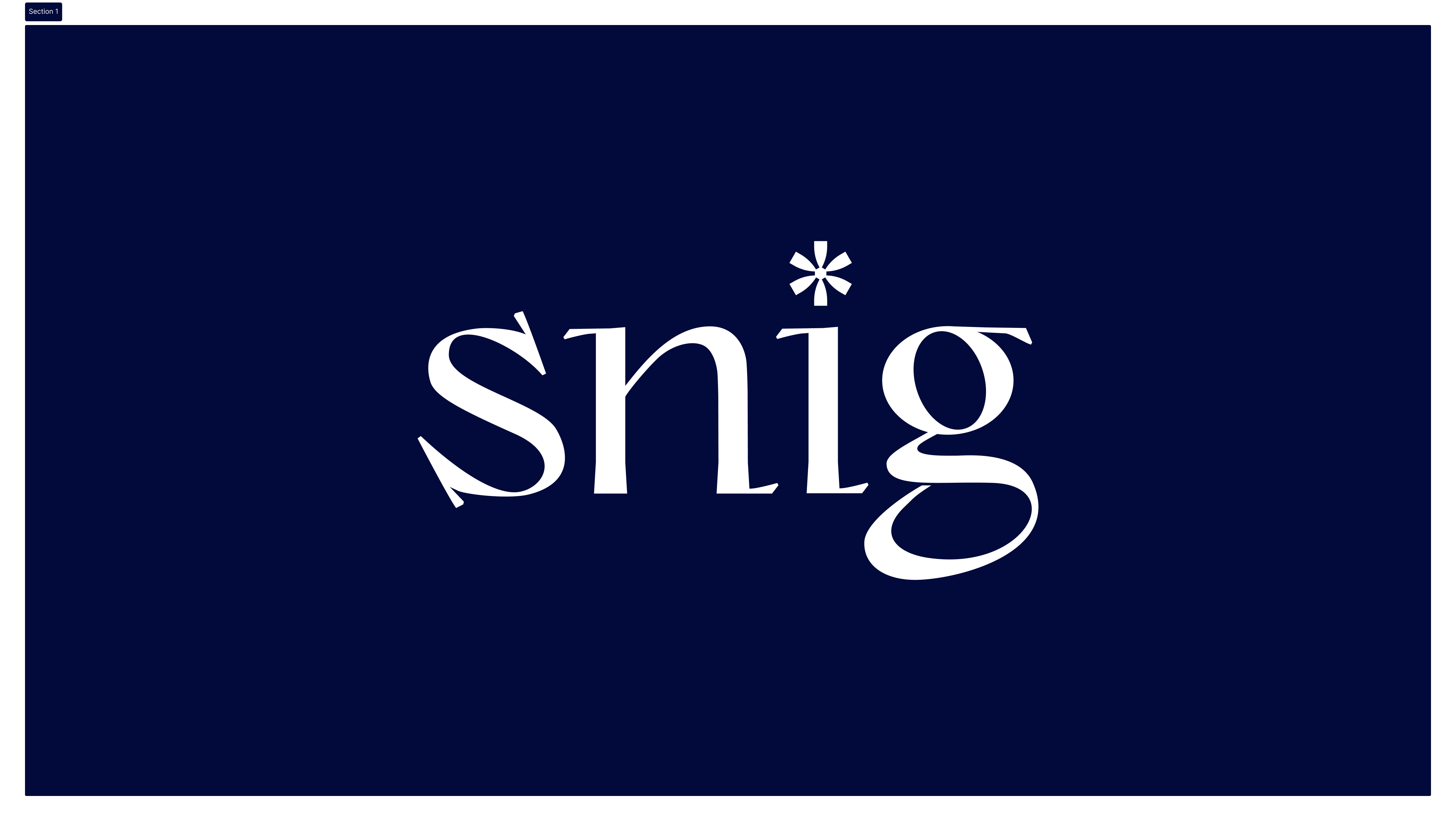 snig.digital